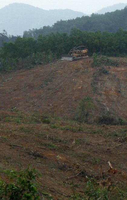 A letreae site